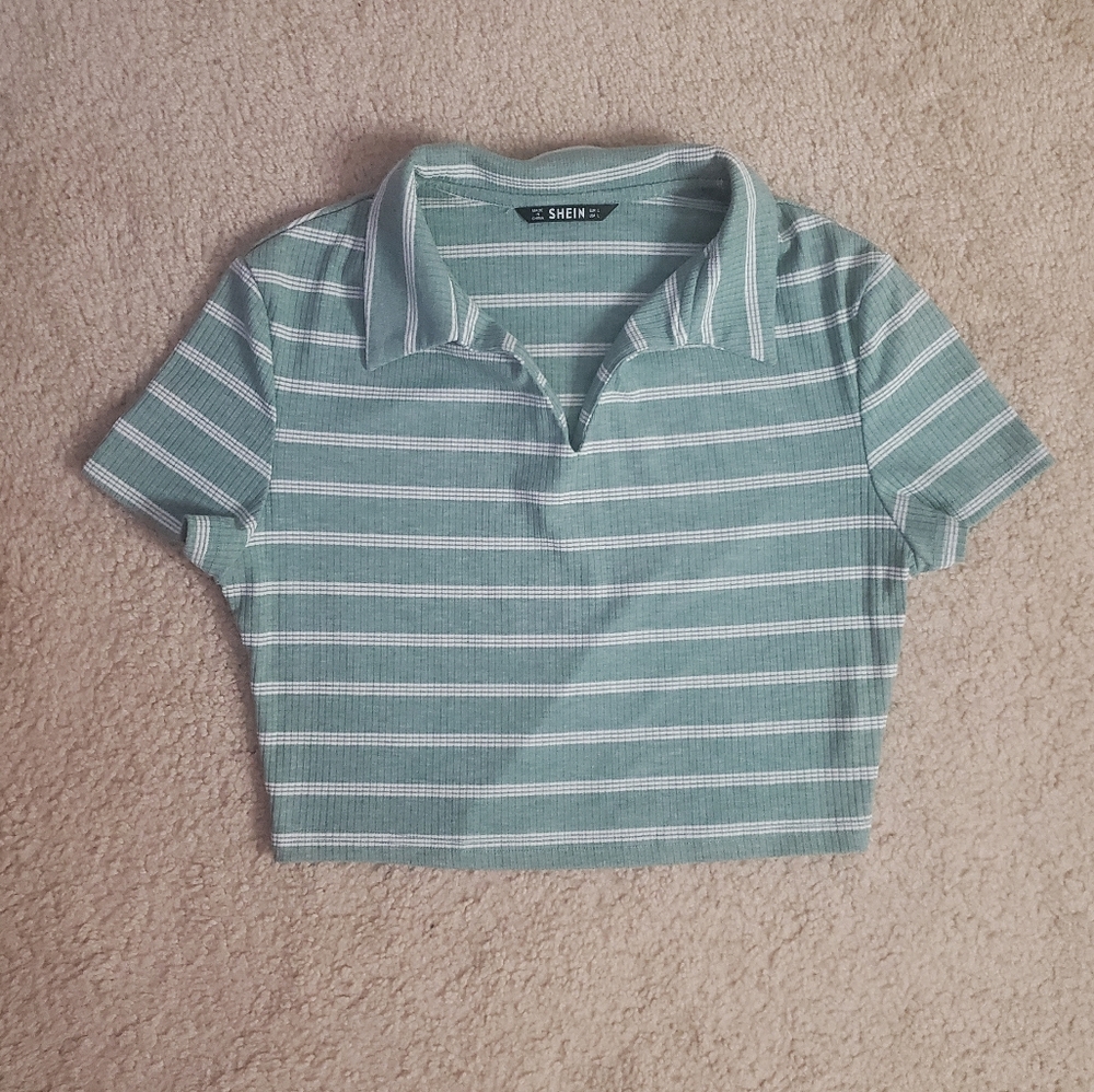 Shein Striped Crop Top (Large)